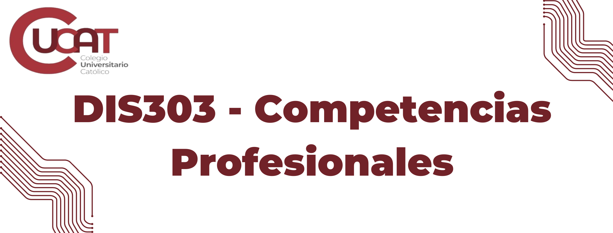 DIS303-Competencias Profesionales